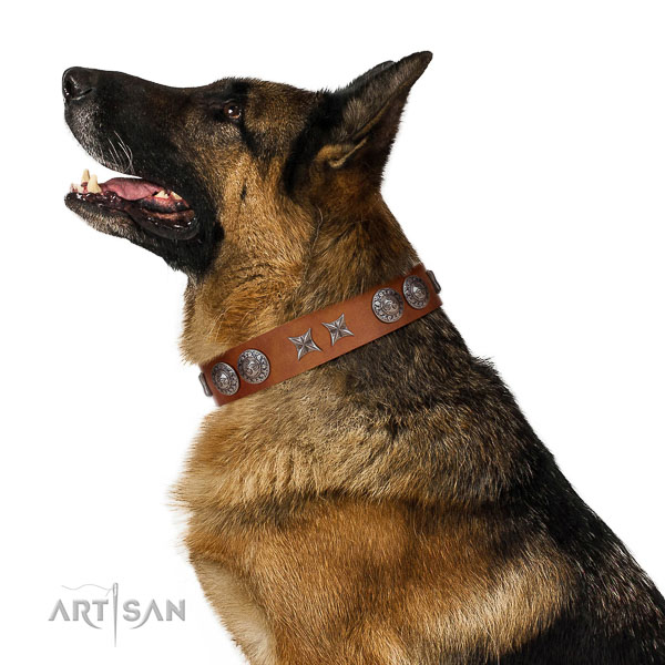 Daily walking soft to touch full grain natural leather dog collar with studs