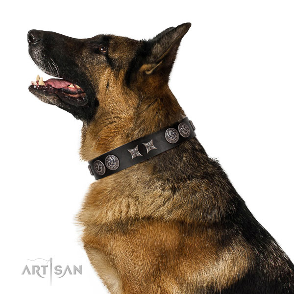 Unique collar of full grain genuine leather for your lovely pet