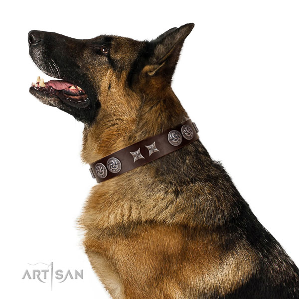 Exquisite full grain natural leather dog collar with adornments
