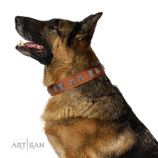 Natural leather dog collar with stylish adornments created pet