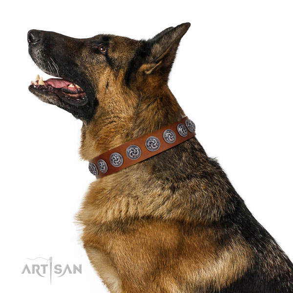 Stylish walking flexible full grain leather dog collar with decorations