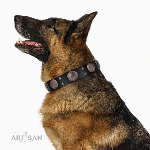 Full grain leather dog collar with fashionable adornments made canine