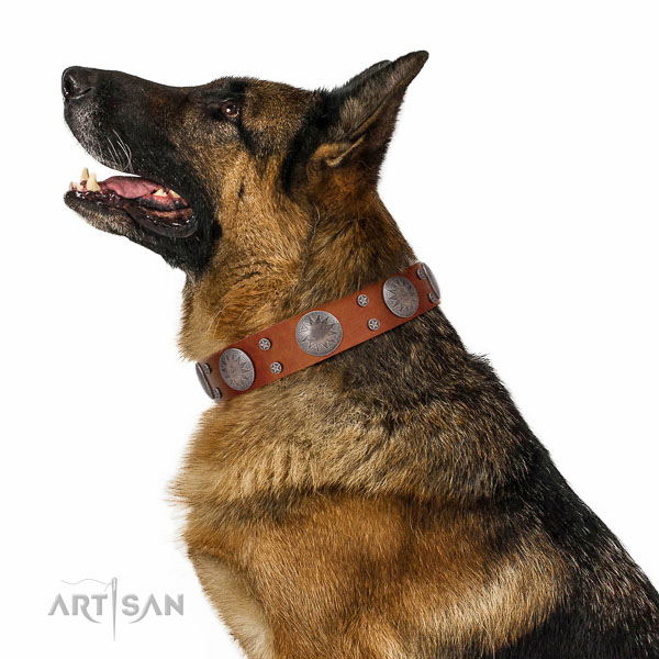 Best quality natural leather dog collar with significant embellishments