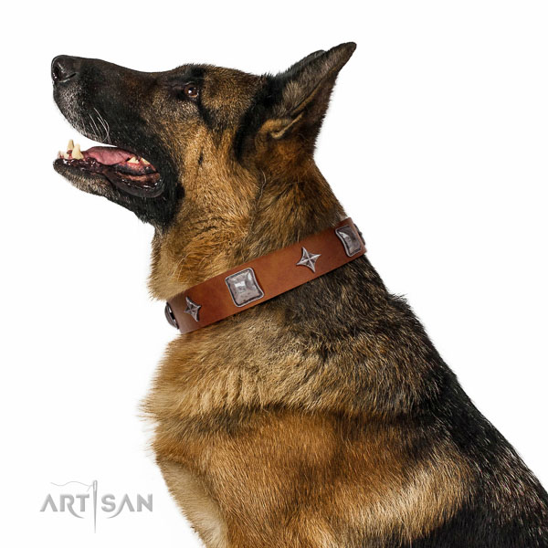 Handmade dog collar created for your attractive dog