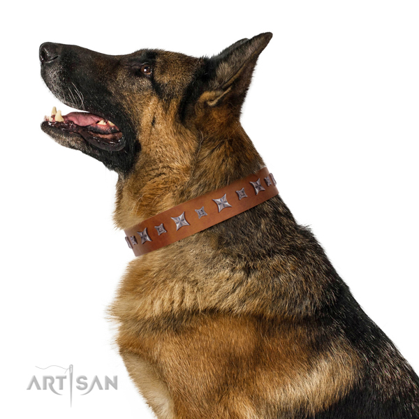 Unique embellishments on leather collar for your pet