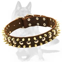 Special Design German Shepherd Collar