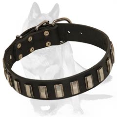 Dog Collar with Strong buckle