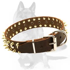 Collar with Secure nickel-plated buckle