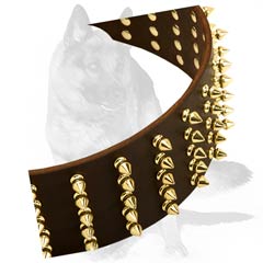 Dog Collar for walks in style