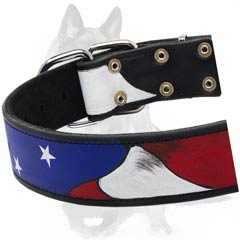 Dog Collar with nickel-plated buckle