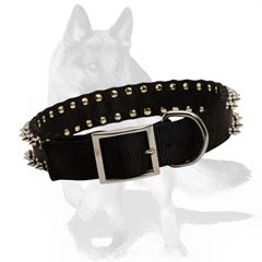 Srtong Dog Collar at an affordable price