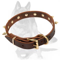 Brass Spikes set in one row