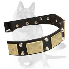 Perfect Collar for Handling large Dogs