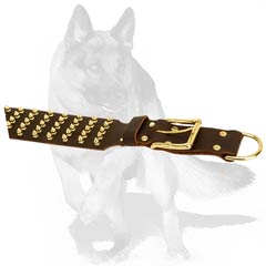 Leather Collar of incredible style