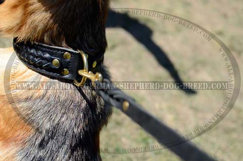 Extra Durable Collar for walks with your Shepherds