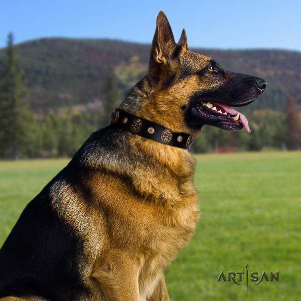 German Shepherd Dog full grain leather dog collar with embellishments for comfy wearing