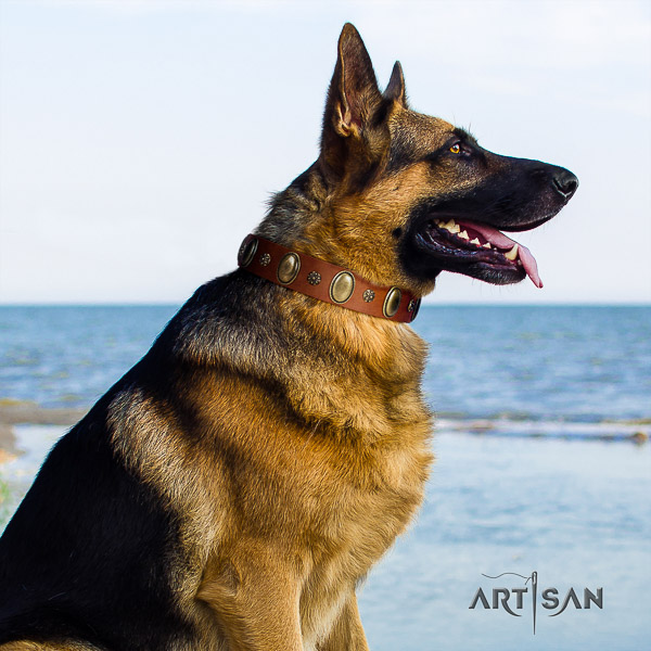 German Shepherd Dog full grain genuine leather dog collar with decorations for everyday walking