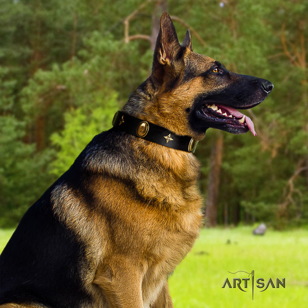 German Shepherd Dog full grain genuine leather dog collar with embellishments for fancy walking