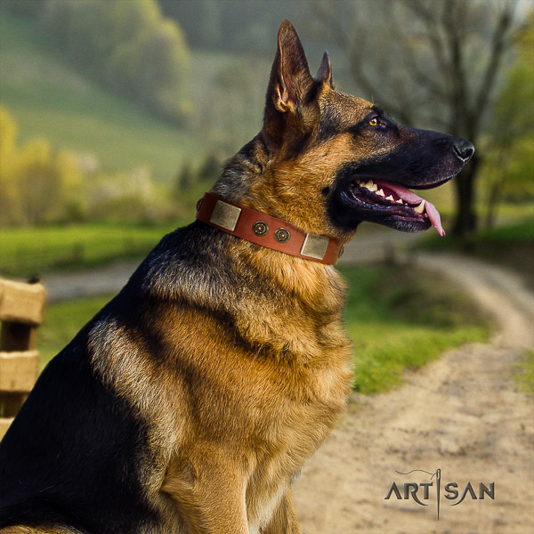 German Shepherd Dog full grain natural leather dog collar with decorations for comfy wearing