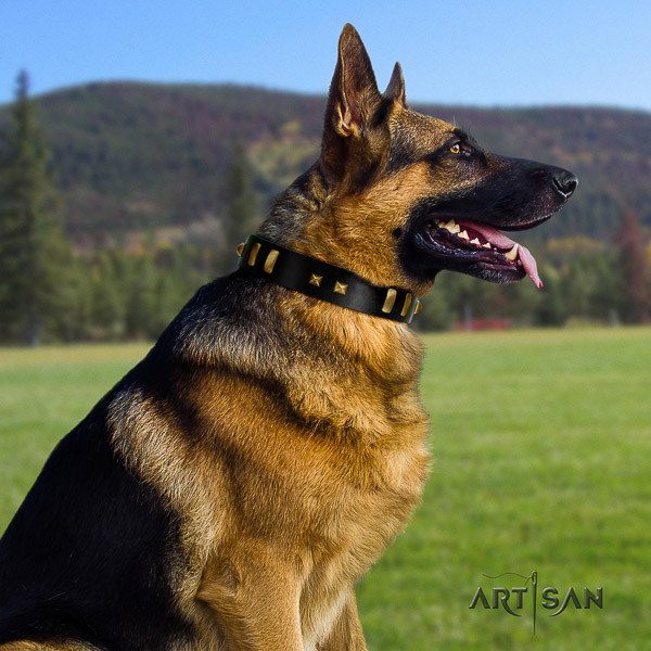 German Shepherd Dog full grain leather dog collar with decorations for everyday use