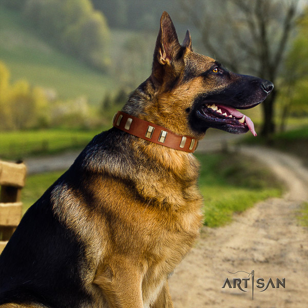 German Shepherd Dog full grain natural leather dog collar with studs for comfy wearing