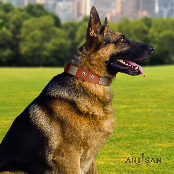 German Shepherd Dog leather dog collar with embellishments for everyday walking
