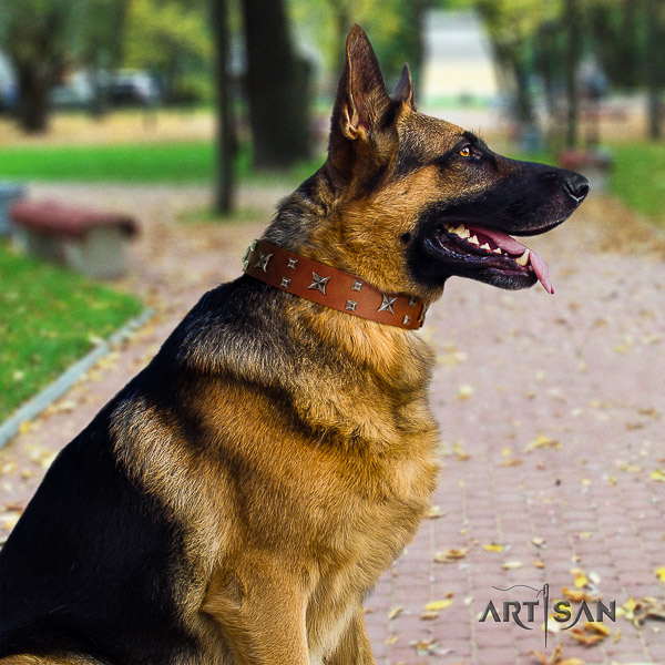 German Shepherd Dog amazing adorned genuine leather dog collar