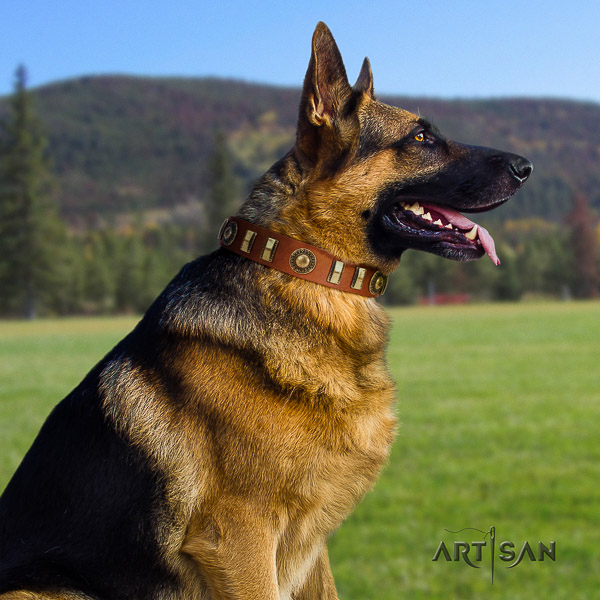 German Shepherd Dog full grain natural leather dog collar with adornments for comfortable wearing