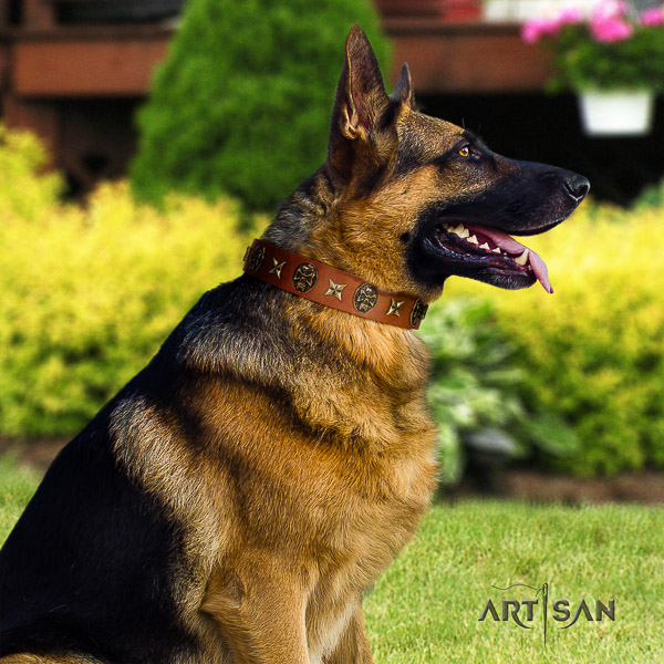 German Shepherd Dog full grain leather dog collar with decorations for fancy walking
