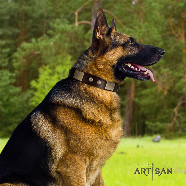 German Shepherd Dog natural genuine leather dog collar with adornments for easy wearing