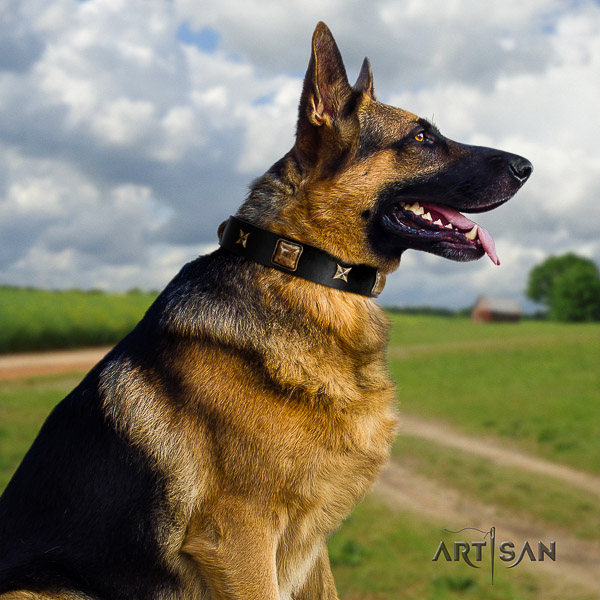 German Shepherd Dog leather dog collar with adornments for comfortable wearing