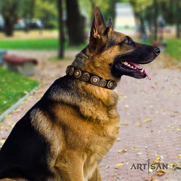 German Shepherd Dog full grain natural leather dog collar with adornments for handy use