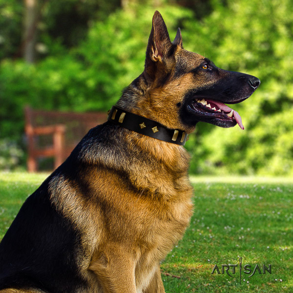 German Shepherd Dog leather dog collar with embellishments for easy wearing