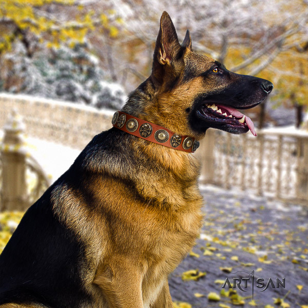 German Shepherd Dog full grain genuine leather dog collar with adornments for handy use