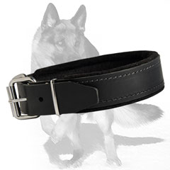 Strong Leather Collar with felt padding