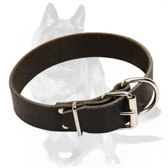 Extra strong Dog Collar for walks