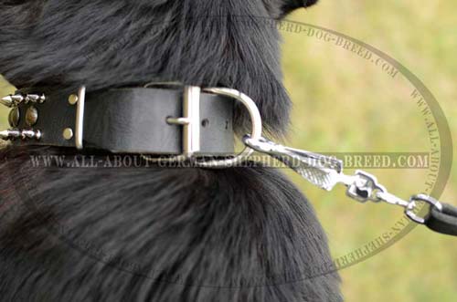 Extra Strong Collar for your Shepherd