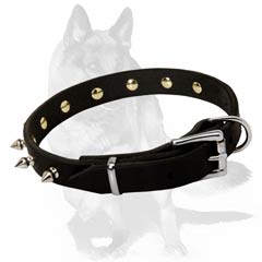 Rustproof Spikes set in a row