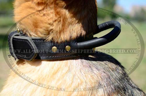 Adjustable German Shepherd leather collar