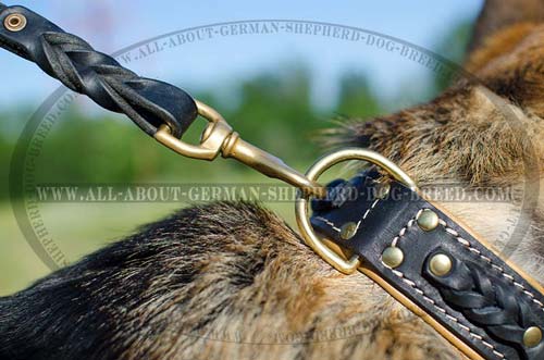 German Shepherd reliable leather collar with brass hardware 