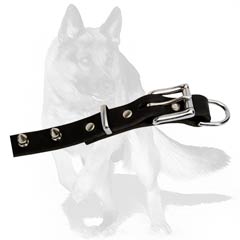 Stylish Spiked Collar for German Shepherd Dog