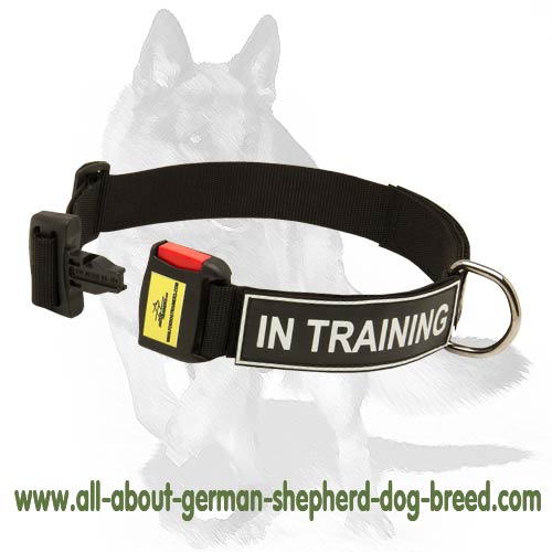 Sturdy Nylon 【Collar】 with Velcro ID-Patches for German Shepherd : German  Shepherd Breed: Dog harnesses, Muzzles, Collars, Leashes