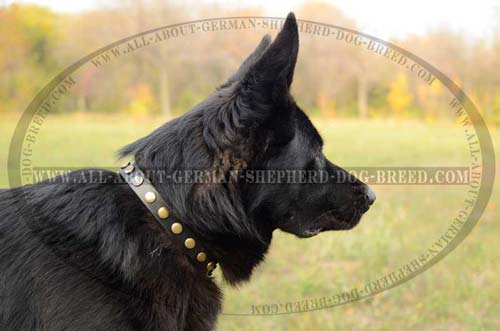 Steel nickel plated D-ring and buckle