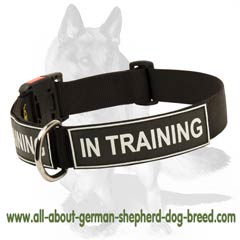 Lightweight Collar with patches for identification