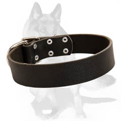 Dog Collar with nickel-plated buckle