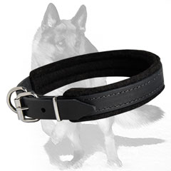 Heavy Duty Padded Leather Collar for Comfort