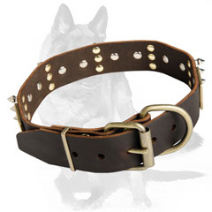 Collar with welded D-ring