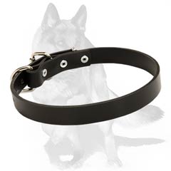 Dog Collar with sturdy buckle