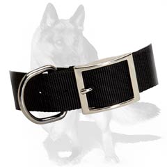 Hardwearing Dog Collar for German Shepherds