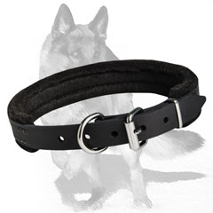 Secure fit Leather Collar with felt padding